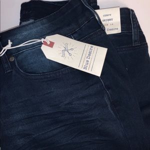 blue desire curvy skinny jeans